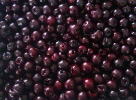 ORGANICS