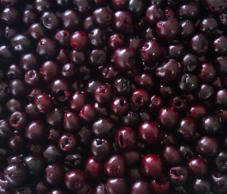 ORGANICS