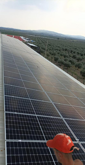 Sustainability